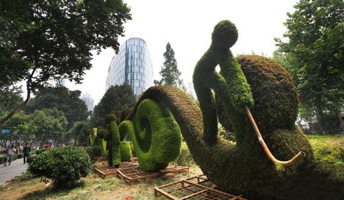 成都真植物造型 真植物雕塑定制 五色草景观造型